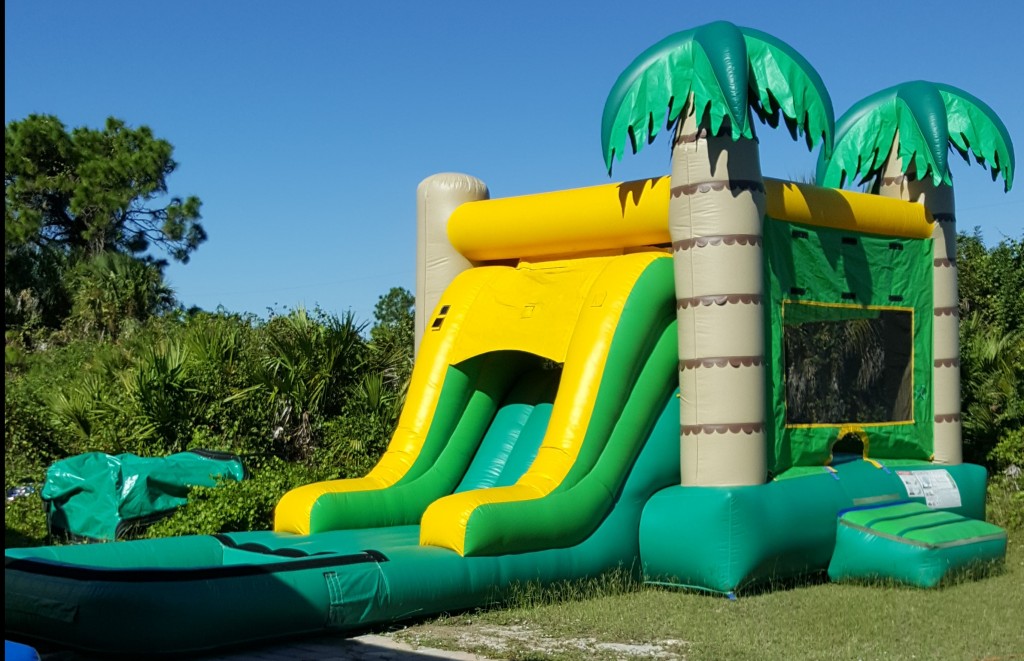 palm tree combo Bounce House pool