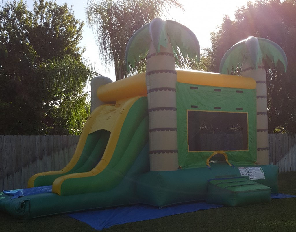 palm tree combo Bounce House side