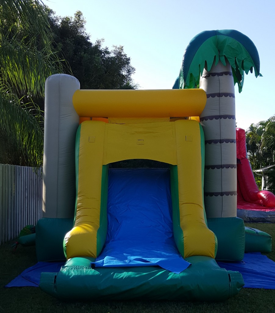palm tree combo Bounce House slide