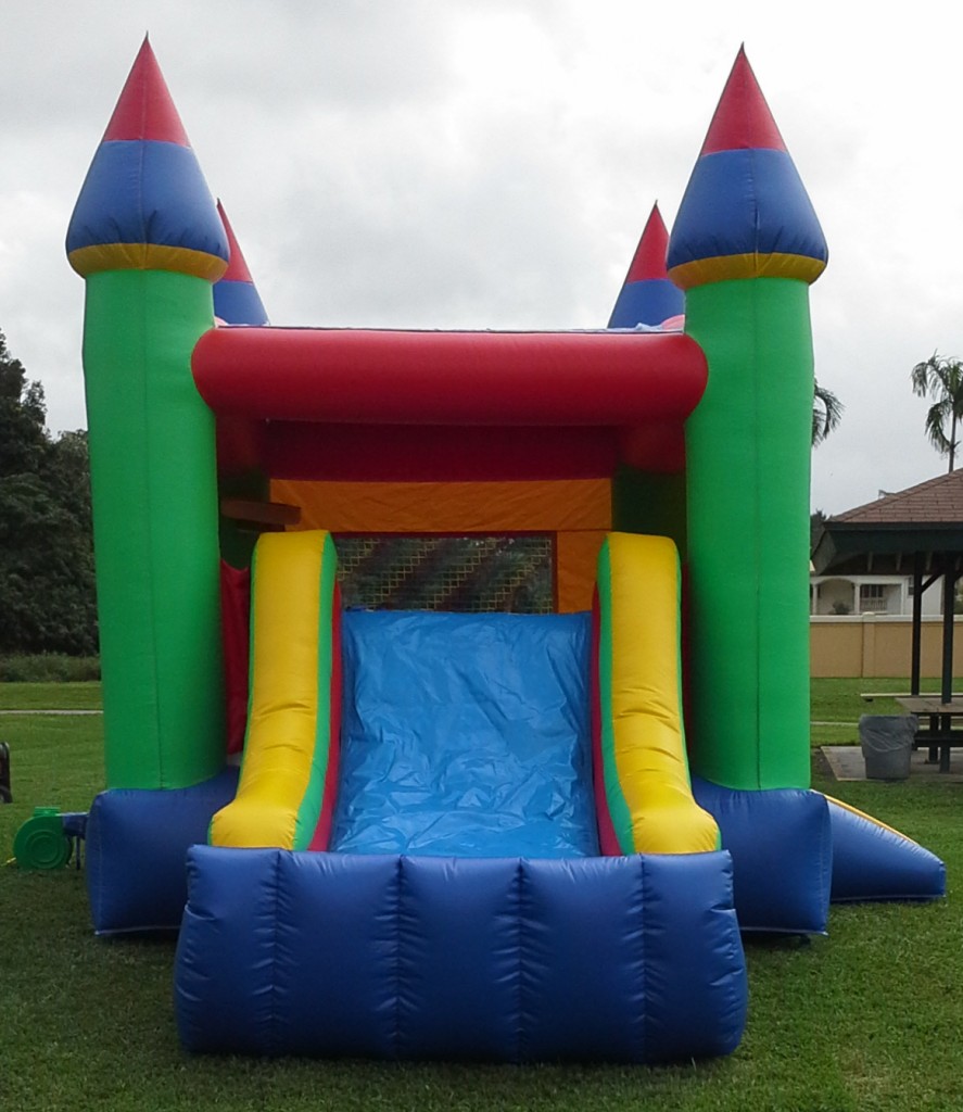 Castle Combo Bounce House slide