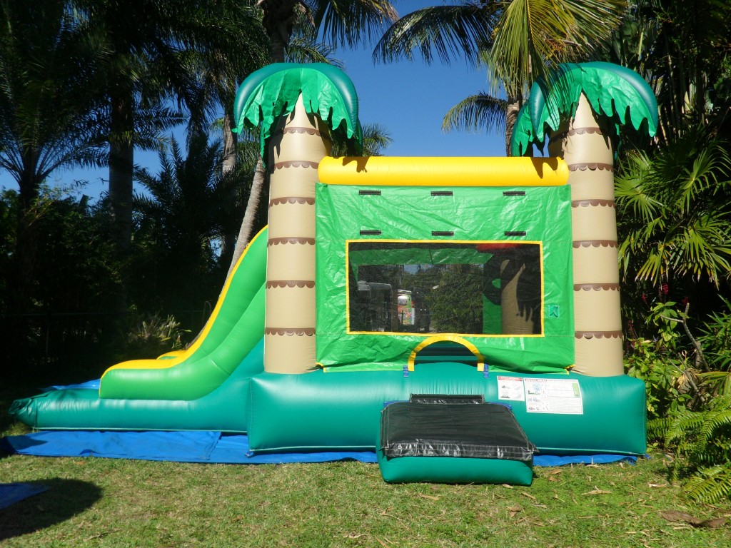 palm tree combo Bounce House