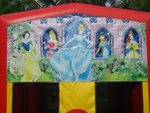 Princess Banners